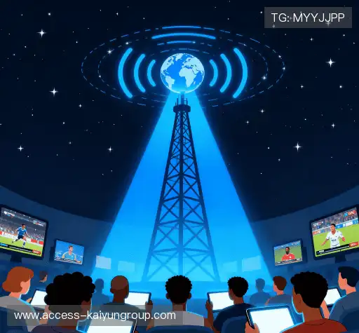 为什么选择我们